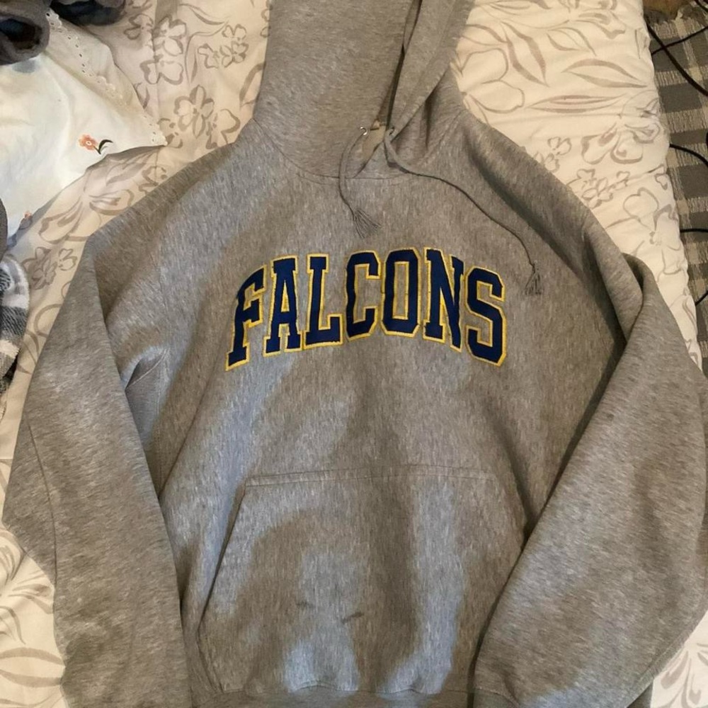 Gray Falcons Hoodie